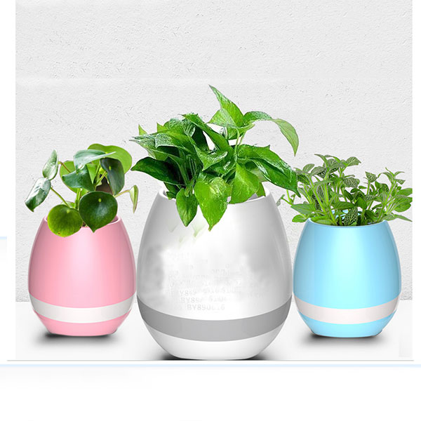 Bamboo Wireless Portable Audio Player